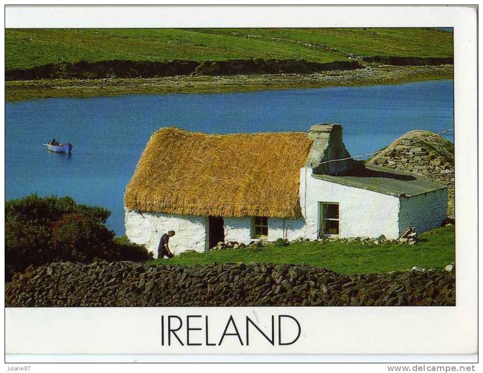 CPM        IRLANDE           IRISH COTTAGE      CHAUMIERE IRLANDAISE - Sonstige & Ohne Zuordnung