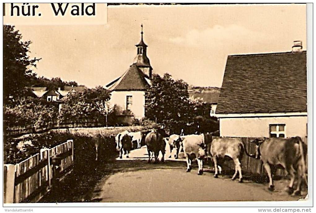 AK Gehlberg/Thür. Wald MBK 4 Bilder  -1. 7. 63.-16 GEHLBERG (THÜRINGERW) nach Gramzow Kreis Prenzlau mit 1 x 10 PF DEUTS