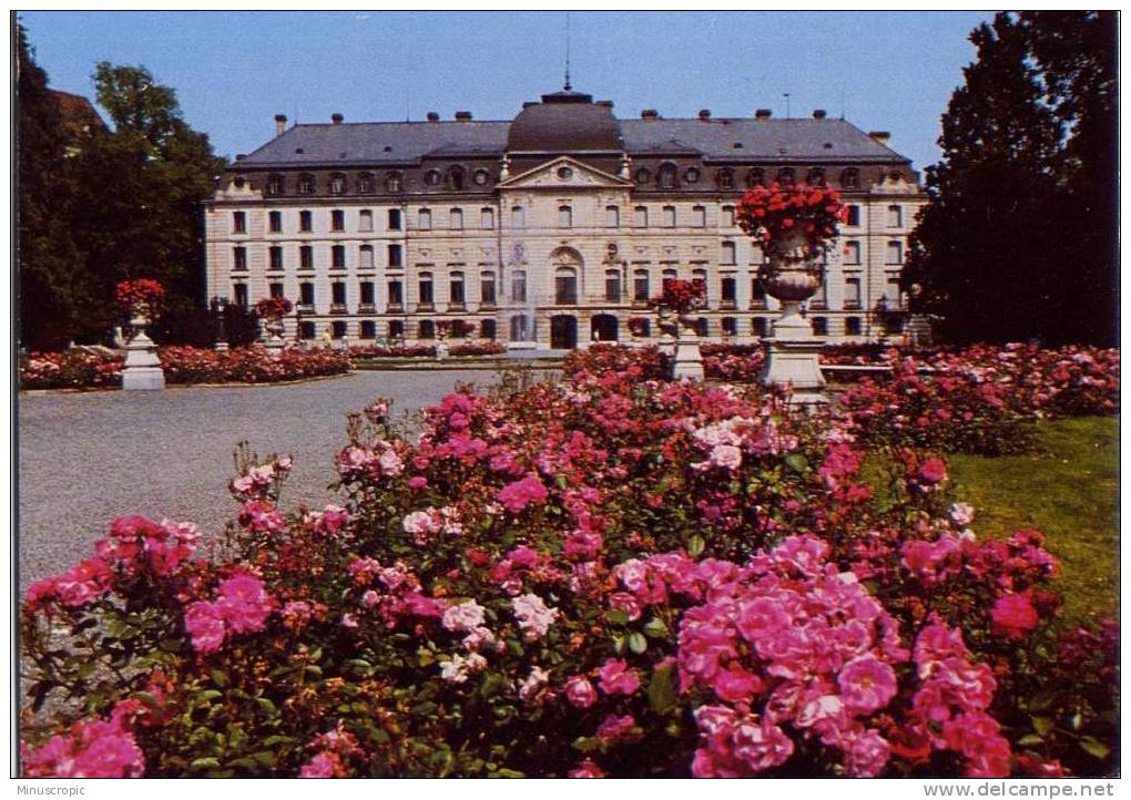 CPM Allemagne - Donaueschingen - Furstlich Furstenbergisches Scholb - Donaueschingen