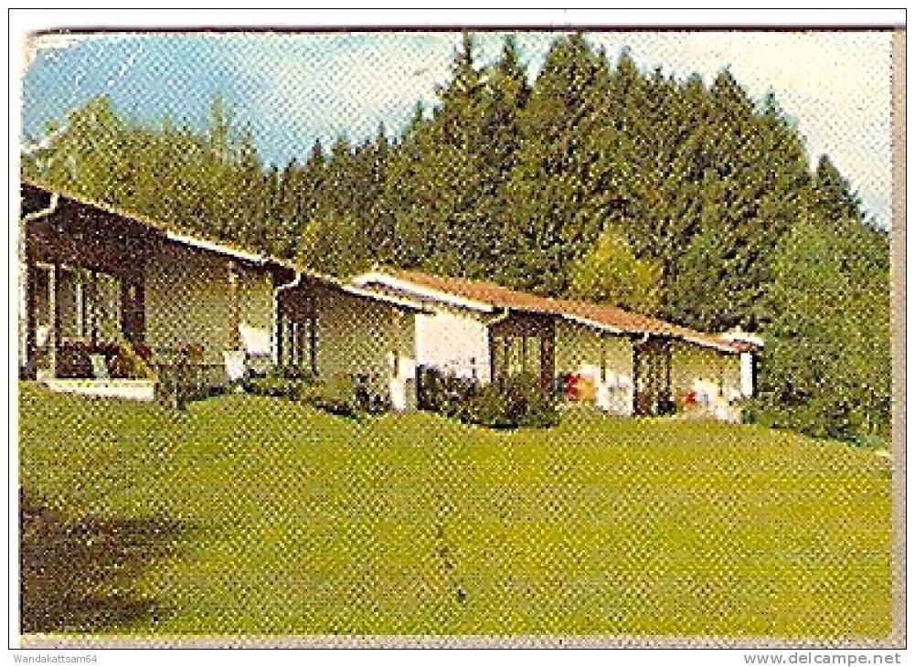 AK 43223 Familienferiendorf Nadenberg I. Allgäu 832 M ü. M. 8998 LINDENBERG Im Allgäu 14.-8.68-17 8998 LINDENBERG ALLGÄU - Lindenberg I. Allg.