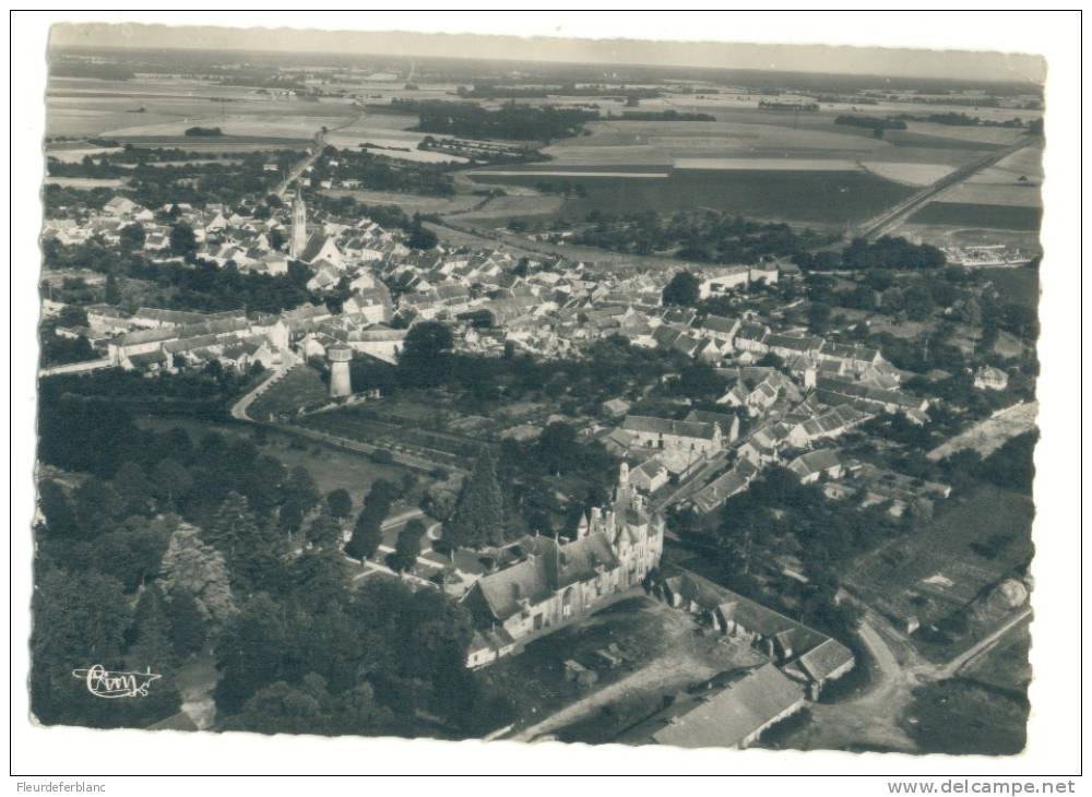 Le CHATELET En BRIE (77) - CPSM - Vue Générale Aérienne Et Le Château Des Dames - Le Chatelet En Brie