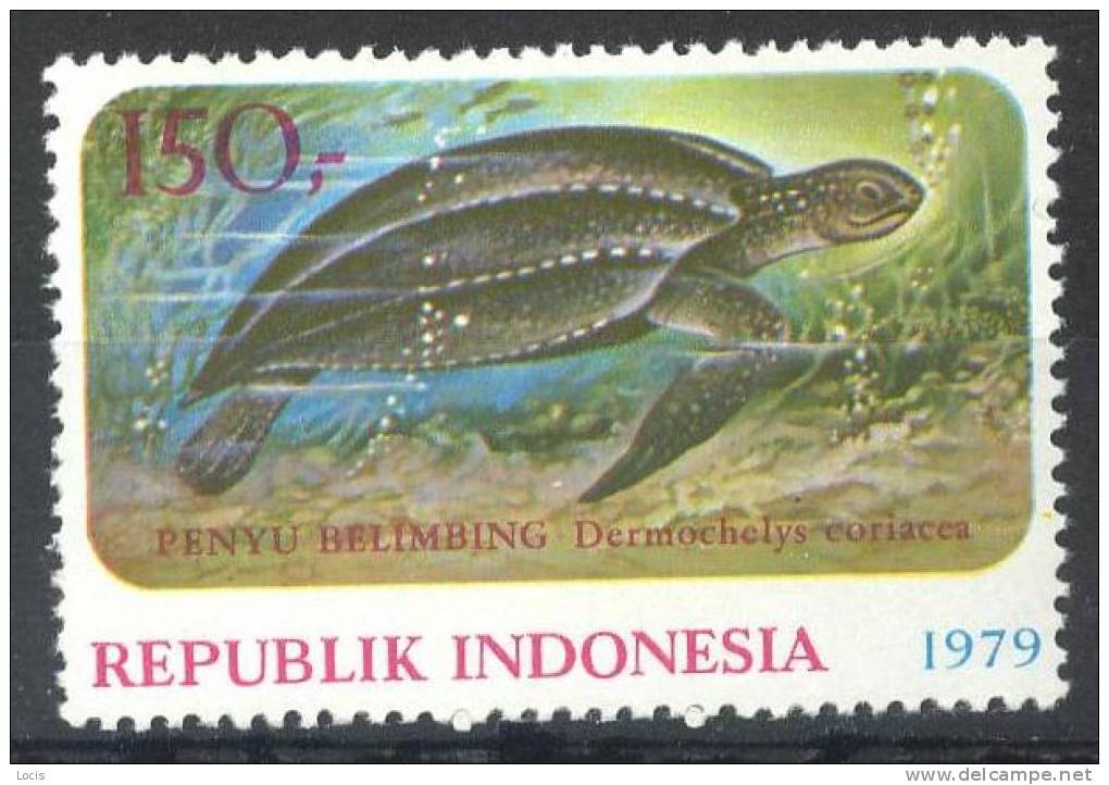 INDONESIA 1979 MNH** - Tortues