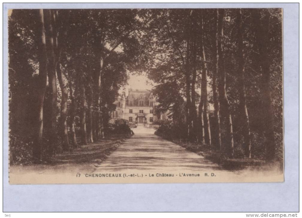 Chenonceaux - Le Chateau L' Avenue . CPA . FRANCE . - Chenonceaux