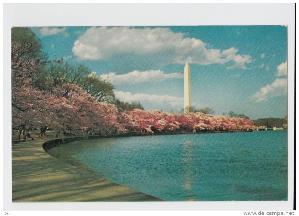 THE WASHINGTON MONUMENT - D.C . Old PC . USA - Washington DC