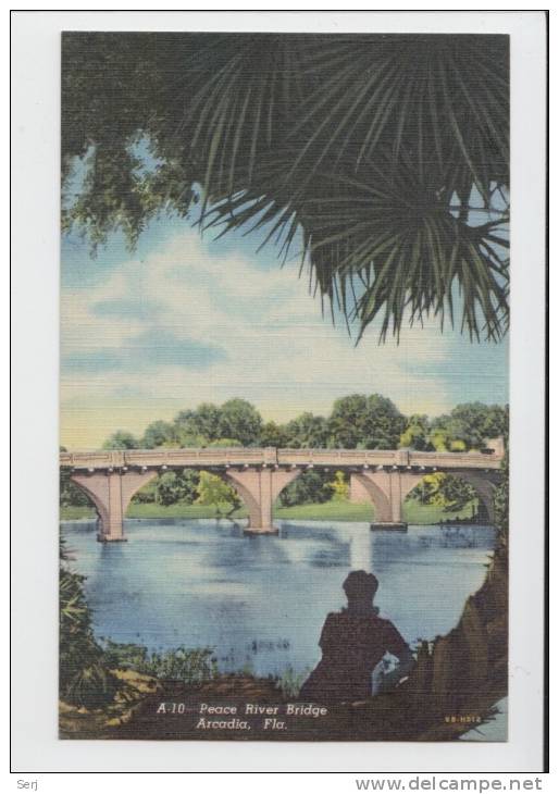 PEACE RIVER BRIDGE - ARCADIA , FLORIDA . Old PC . USA - Other & Unclassified