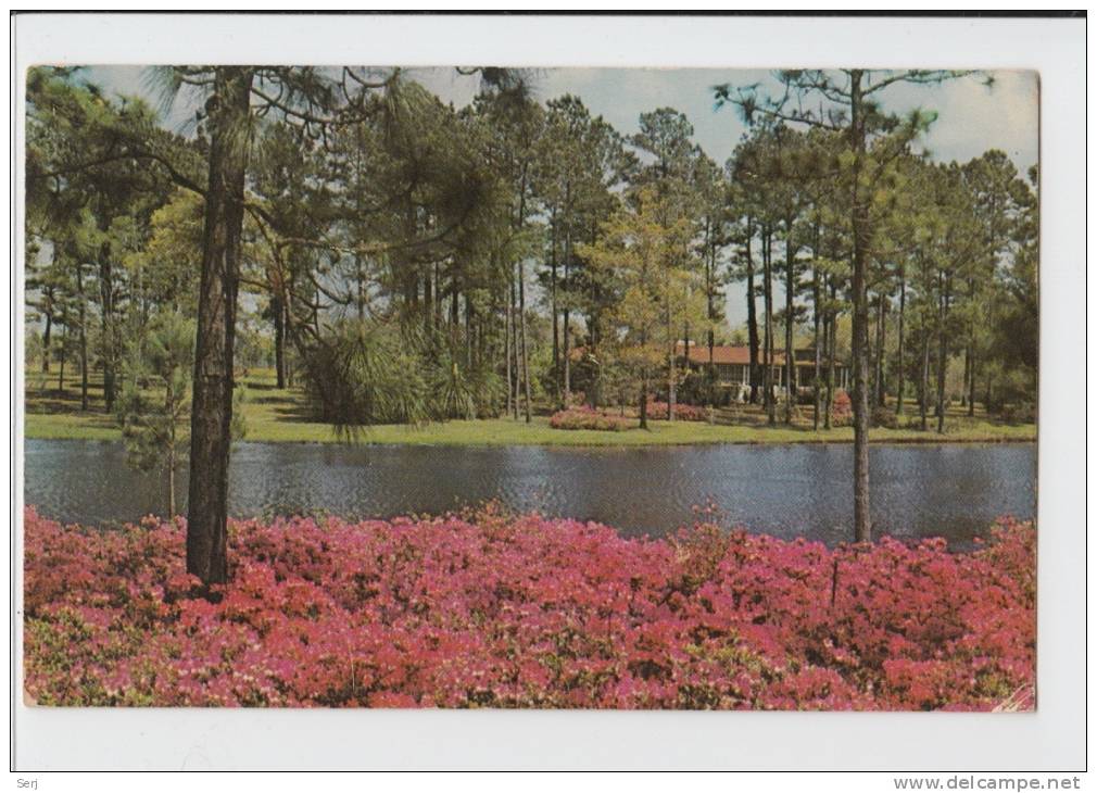 POSSUM CORNER PLANTATION - RIDGELAND , SOUTH CAROLINA . Old PC . USA - Andere & Zonder Classificatie