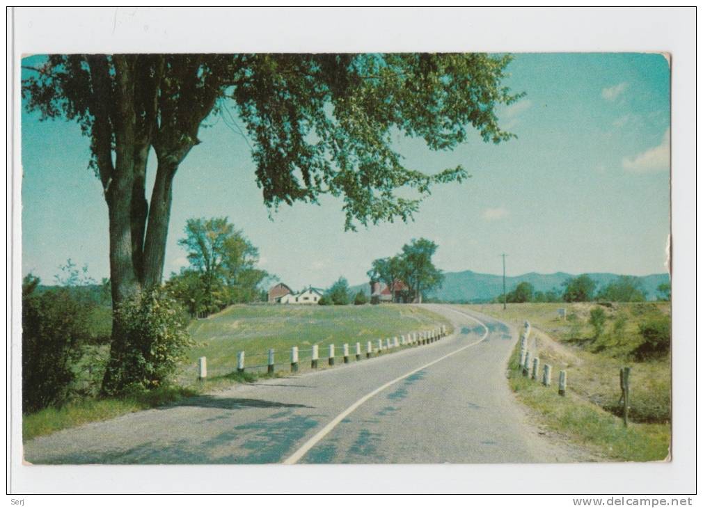 A ROAD LEADING TO A VILLAGE . Old PC . USA - American Roadside