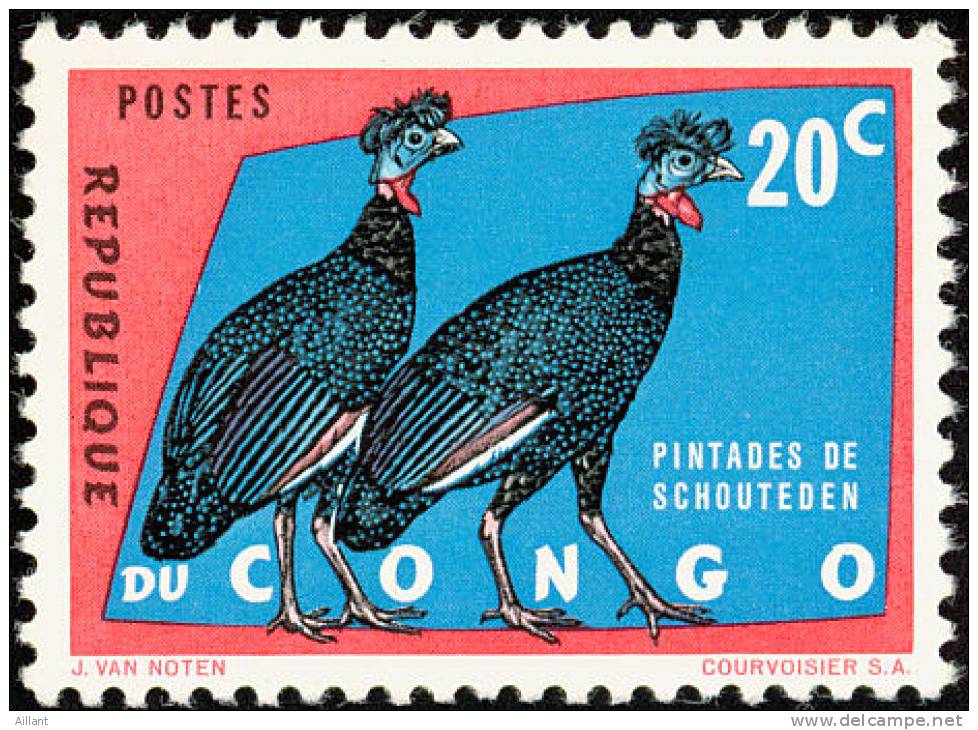 Congo. 1963. Pintade De Schouteden ** - Gallinacées & Faisans