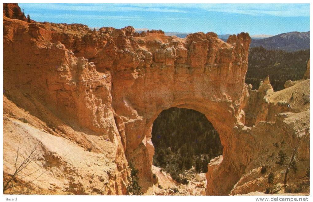 16989   Stati  Uniti,    Utah,  Bryce  Canyon National  Park,  Natural  Bridge,  NV - Bryce Canyon