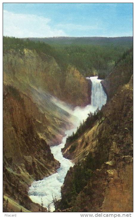 16996   Stati  Uniti,  Wyoming,  Grand  Canyon,  Yellowstone  National  Park,  NV - Yellowstone