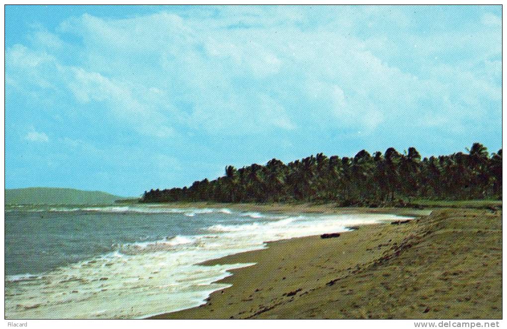17045     Republica  Domenicana,  Playa  De  Nagua,  NV - Dominicaine (République)
