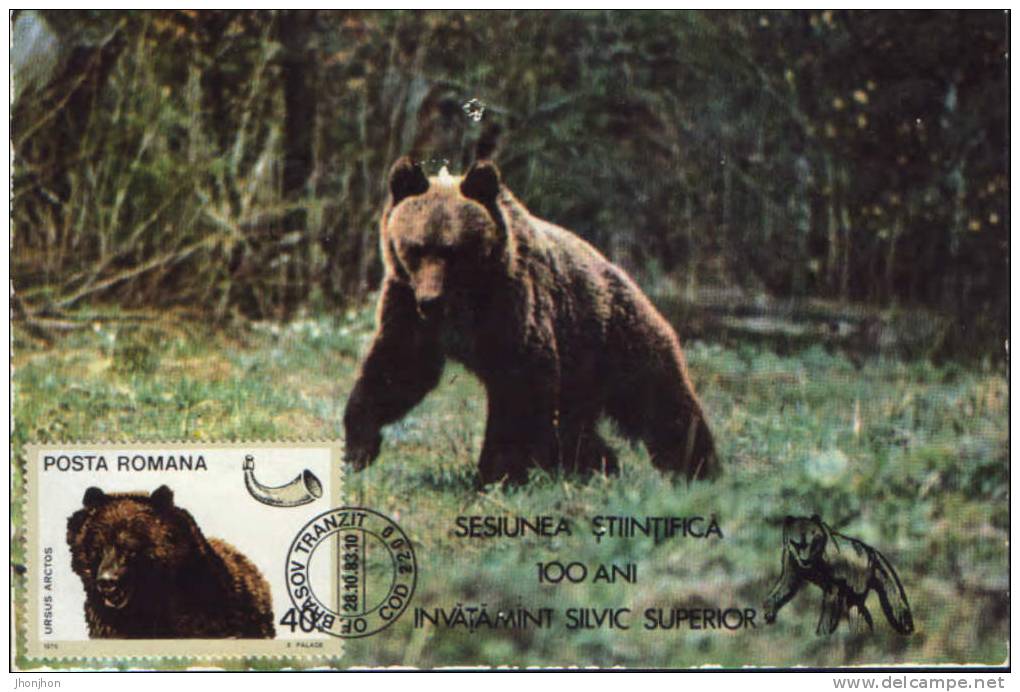 Romania-Maximum Postcard 1983- Brown Bear - Ours