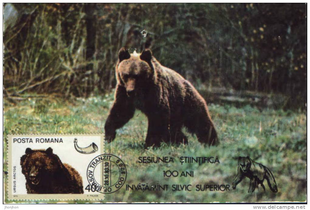 Romania-Maximum Postcard 1983- Brown Bear - Bears