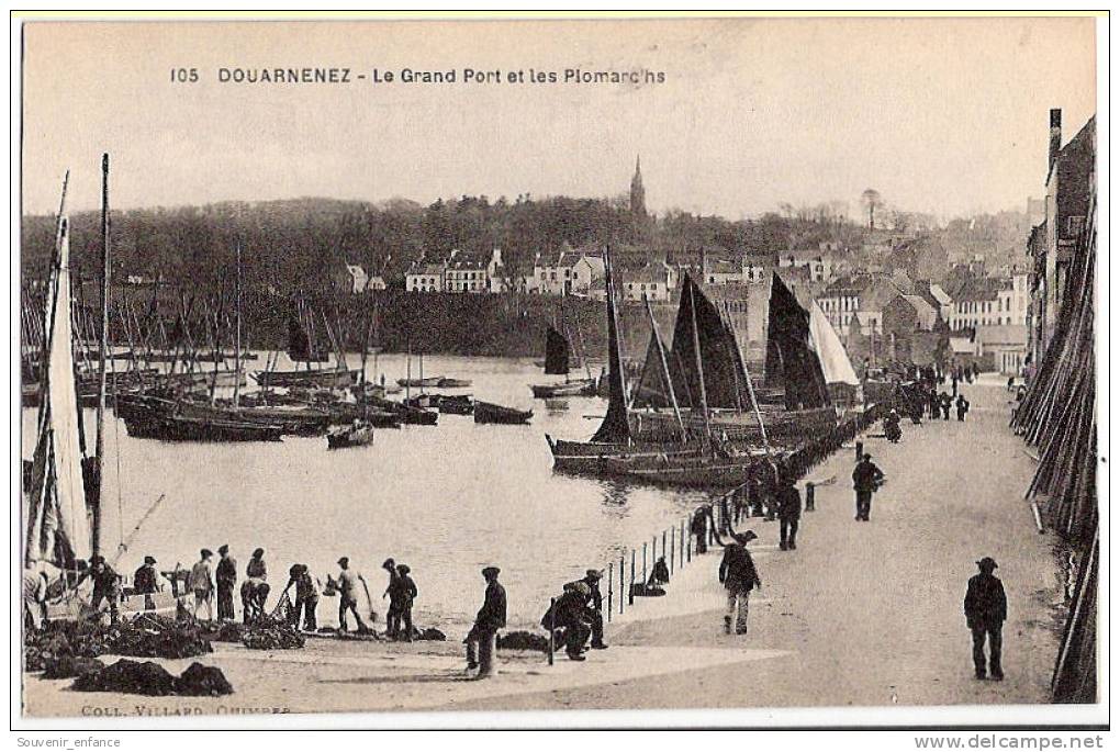 CPA Douarnenez 29 Finistère Le Grand Port Et Les Plomarc'hs - Douarnenez