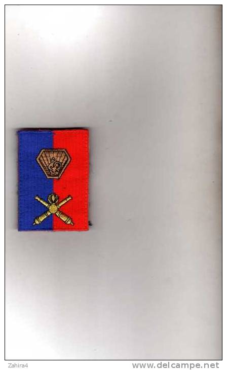 A  Identifier ?  Canons  -  Grenade -  Coq - Patches