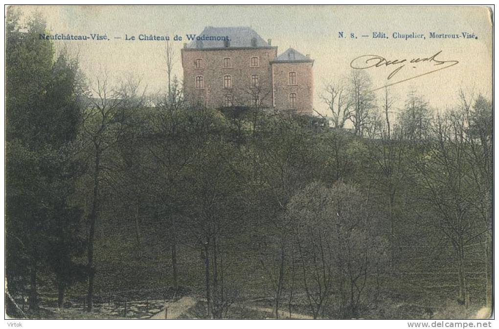 Neufchateau - Visé :  Le Chateau De Wodémont    ( Ecrit 1907 Avec Timbre ) - Neufchâteau