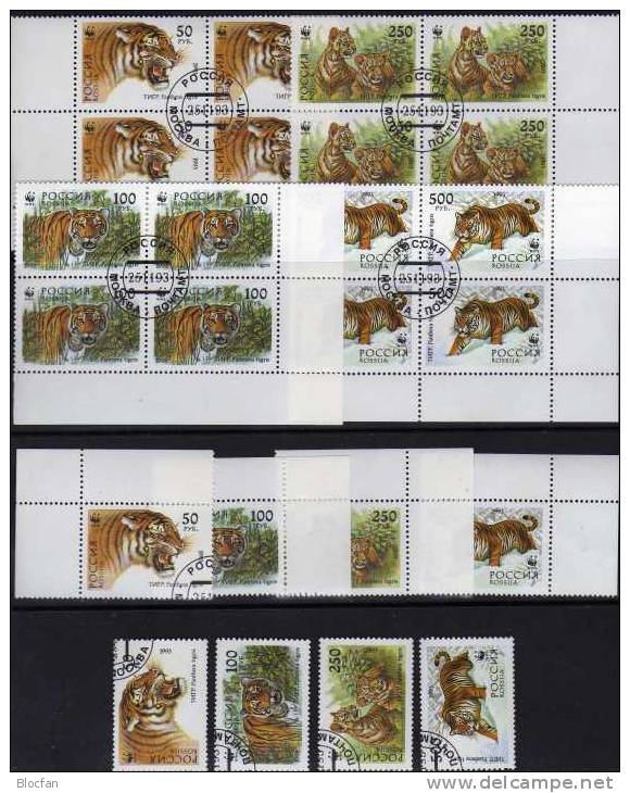 Tiger In Sibirien1993 Russland 343/6,ER,4-Block Plus ER-VB O 13€ Naturschutz Großkatze Fauna Bloc Nature Sheet Of Russia - Verzamelingen
