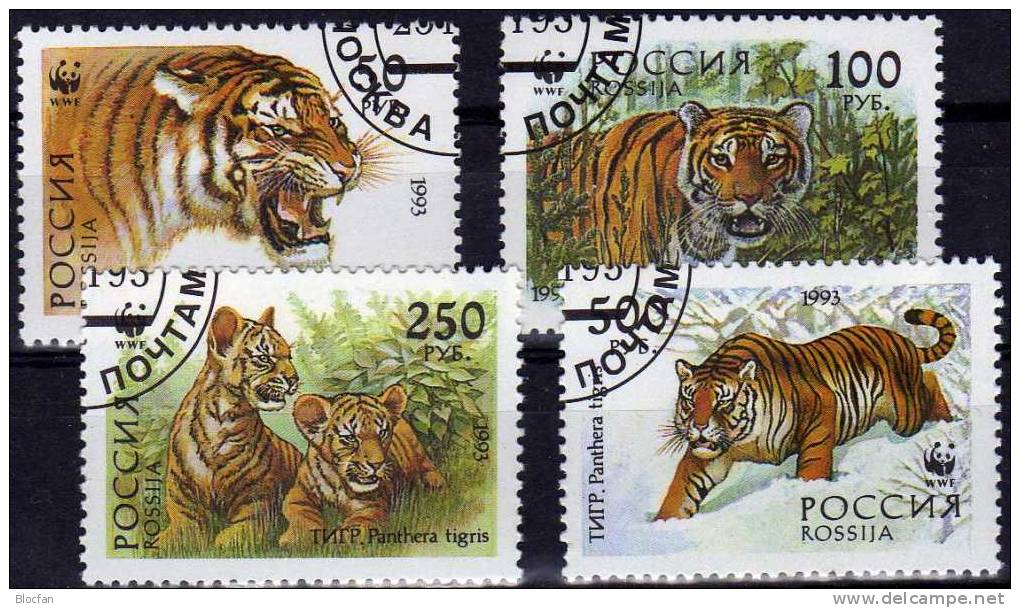 Tiger In Sibirien1993 Russland 343/6,ER,4-Block Plus ER-VB O 13€ Naturschutz Großkatze Fauna Bloc Nature Sheet Of Russia - Verzamelingen