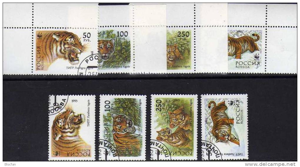 Tiger In Sibirien1993 Russland 343/6,ER,4-Block Plus ER-VB O 13€ Naturschutz Großkatze Fauna Bloc Nature Sheet Of Russia - Collezioni