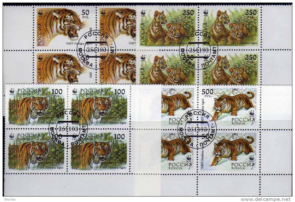 Tiger In Sibirien1993 Russland 343/6,ER,4-Block Plus ER-VB O 13€ Naturschutz Großkatze Fauna Bloc Nature Sheet Of Russia - Sammlungen