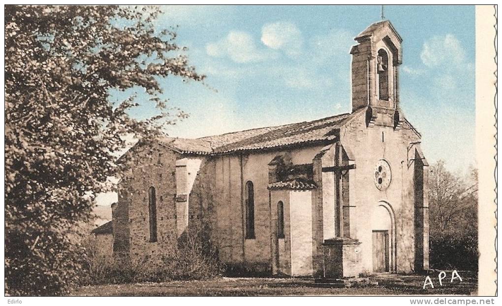 MONTCLAR De QUERCY église St Laurent Coupé Par Scan - Neuve Excellent état - Montclar De Quercy