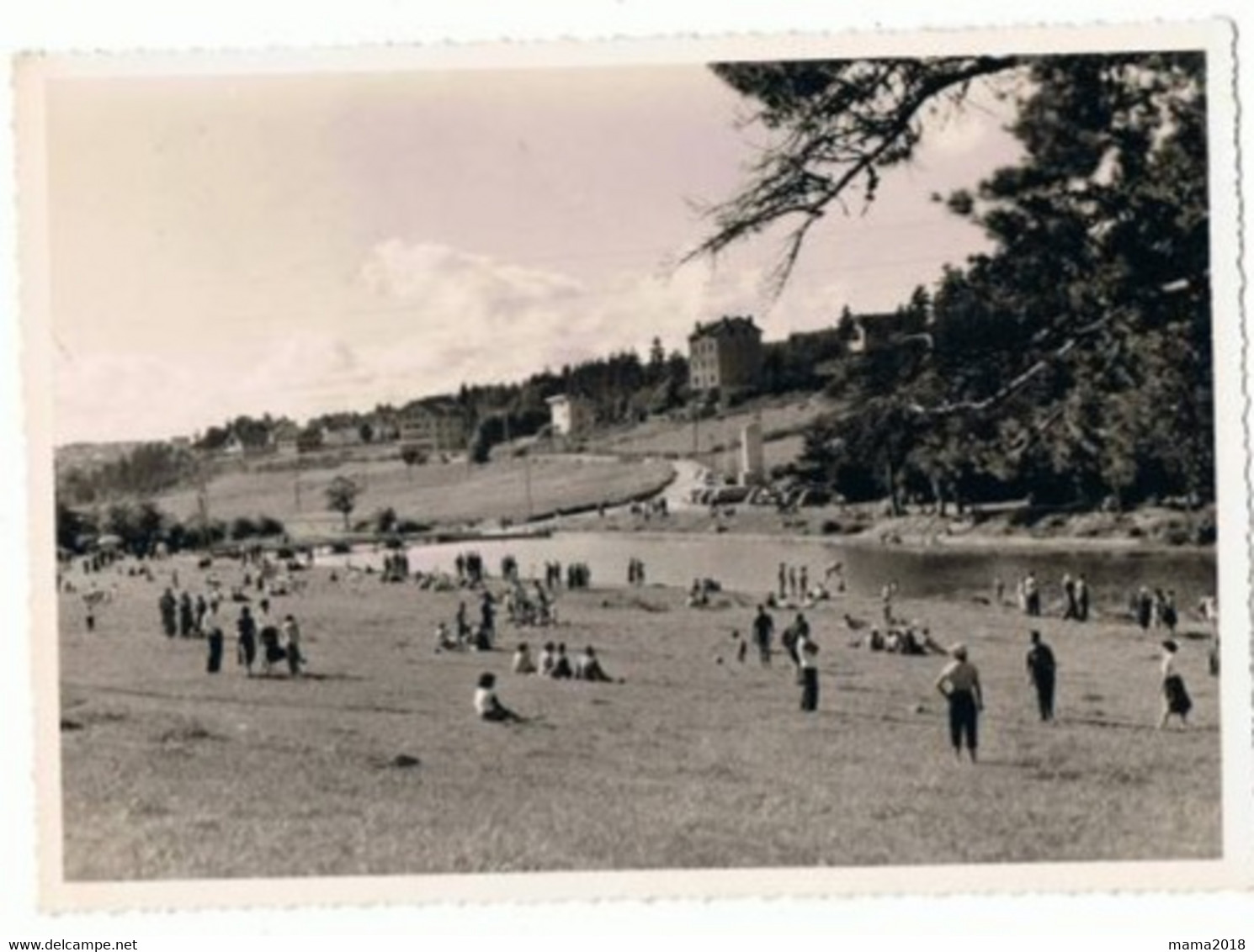 Le Chambon _ Sur _ Lignon    Carte Photo  Sanhet - Le Chambon-sur-Lignon