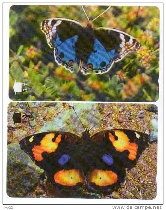 Lot De 6 Télécarte Oman - Papillon Butterfly Schmetterling Vlinder Farfalle Borboleta Mariposa - Oman