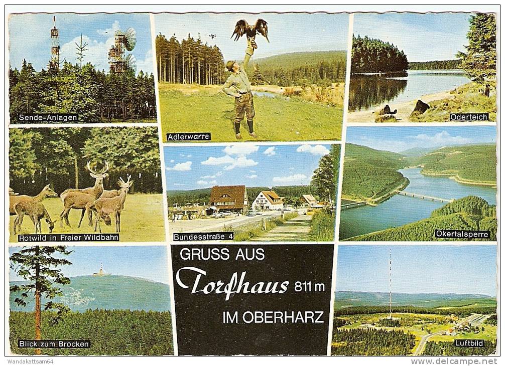 AK GRUSS AUS Torfhaus 811 M IM OBERHARZ 25.6.70 3388 BAD HARZBURG Werbestempel HAUSFRAUEN - Ausstellung HANNOVER 29.8 - - Altenau