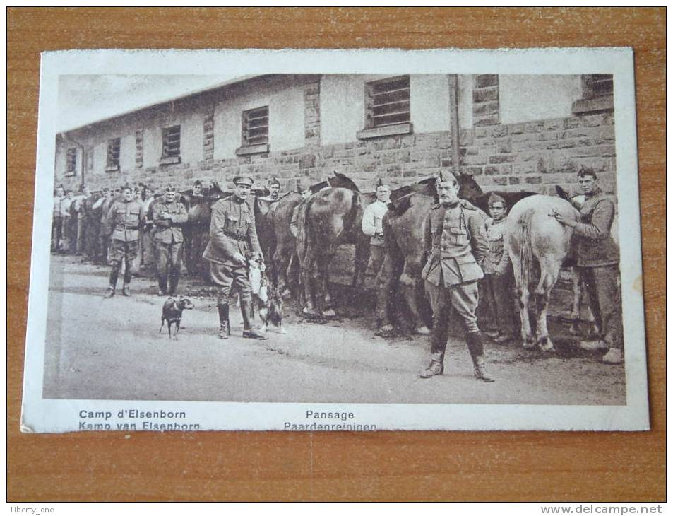 Paardenreinigen / Pansage / Anno 1923 ( Zie Foto Voor Details ) !! - Elsenborn (camp)