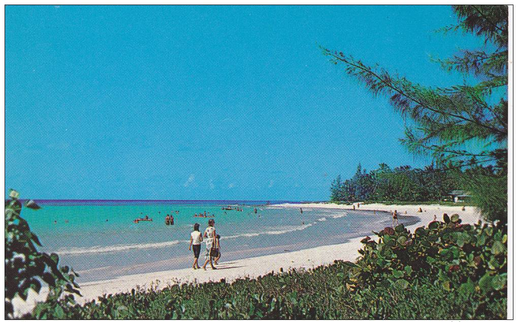 General View Of Rockley Beach, Barbados, West Indies, 40-60s - Barbados