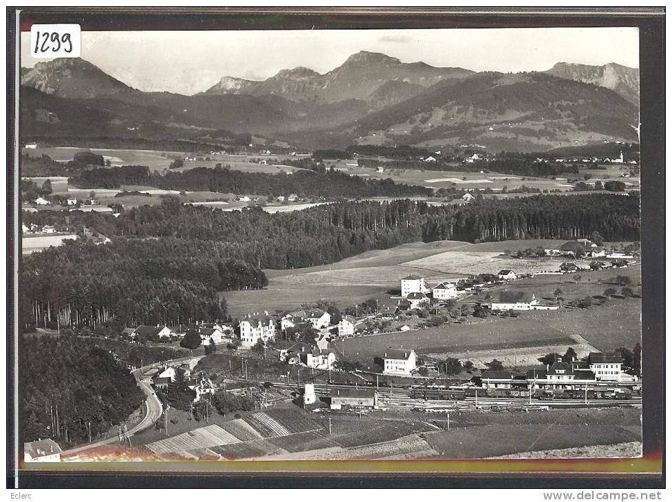 FORMAT 10x15 - DISTRICT D´ORON - PALEZIEUX GARE - TB - Palézieux