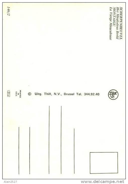 CPM - SCHERPEHEUVEL - Het Mirakuleus Beeld (Uitg. Thill, 146/2) - Scherpenheuvel-Zichem