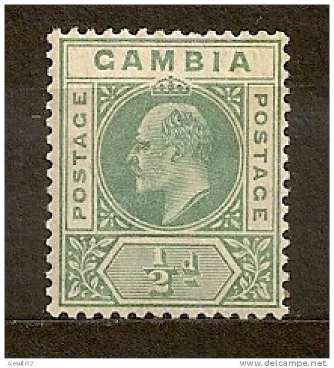 GAMBIA  Colonie Inglesi   British Colonies  -  1905 - N. 40/* - Gambie (...-1964)