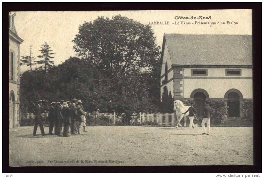 Cpa Du  22  Lamballe Le Haras Présentation D'un étalon  TRAB4 - Lamballe