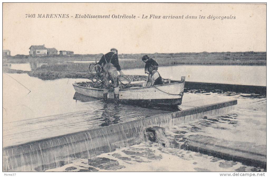 MARENNES  Etablissement Ostréicole Le Flux Arrivant Dans Les Dégorgeoirs - Marennes