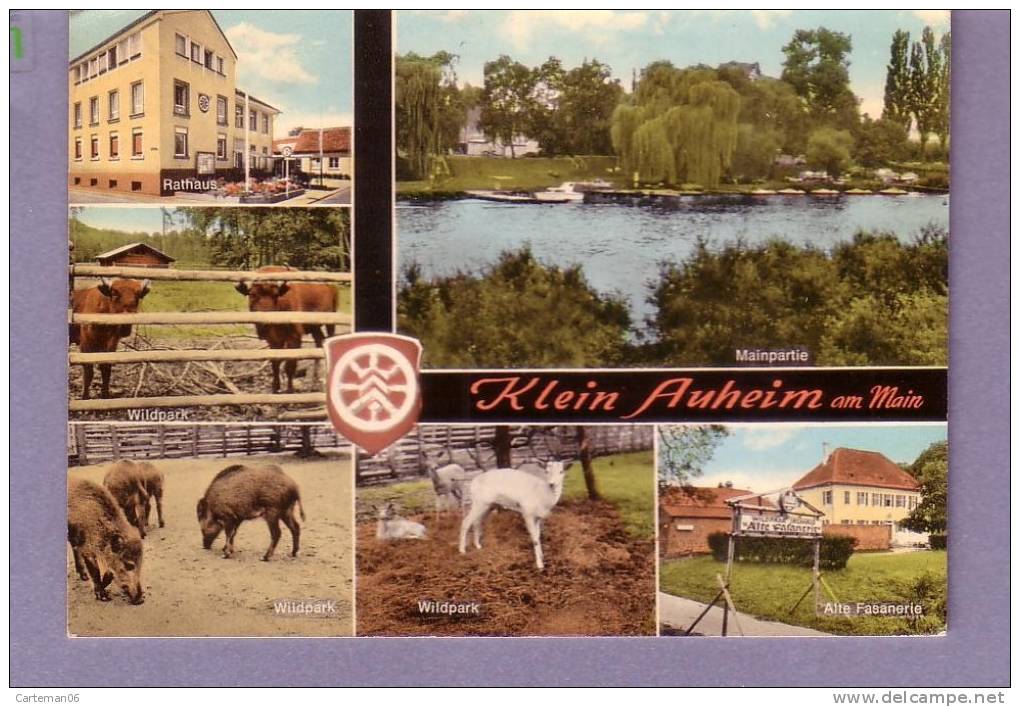 Allemagne - Klein Auheim Am Main (sangliers, Chèvres) - Main - Kinzig Kreis