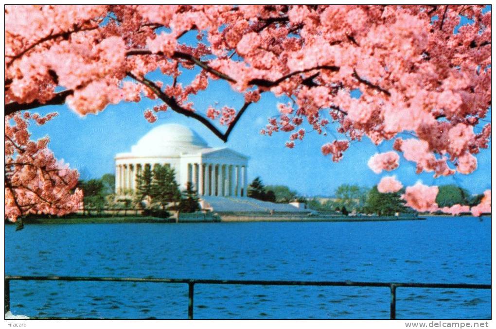 17134    Stati Uniti,  Washington  D.C.,    Jefferson  Memorial,  VG  1980 - Washington DC