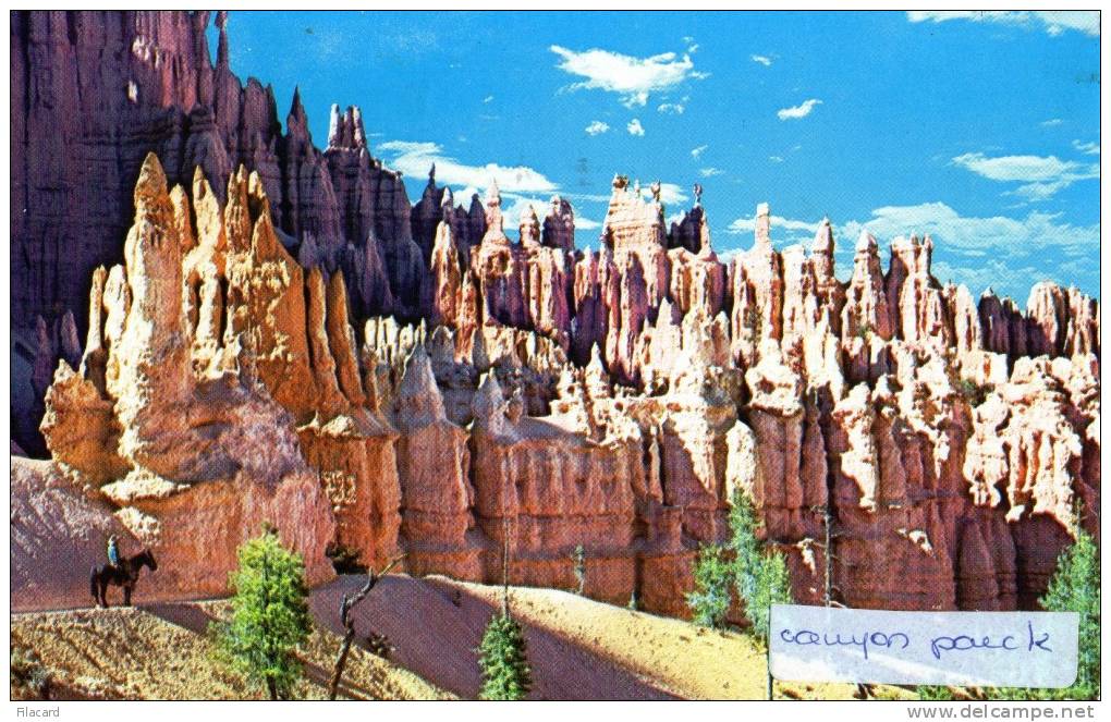 17167   Stati  Uniti,    Utah,  Bryce  Canyon  National  Park,  Chessmen  On  Peek-a-Boo  Trail,  VG  1983 - Bryce Canyon