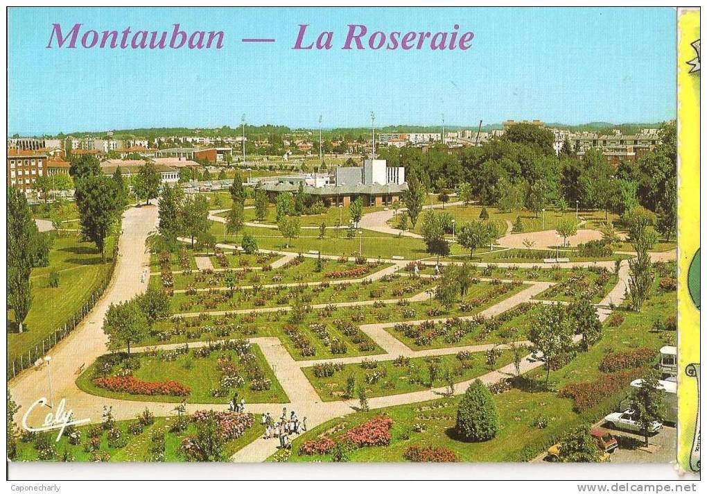 CPSM LA ROSERAIE MONTAUBAN 82 TARN ET GARONNE - Montauban