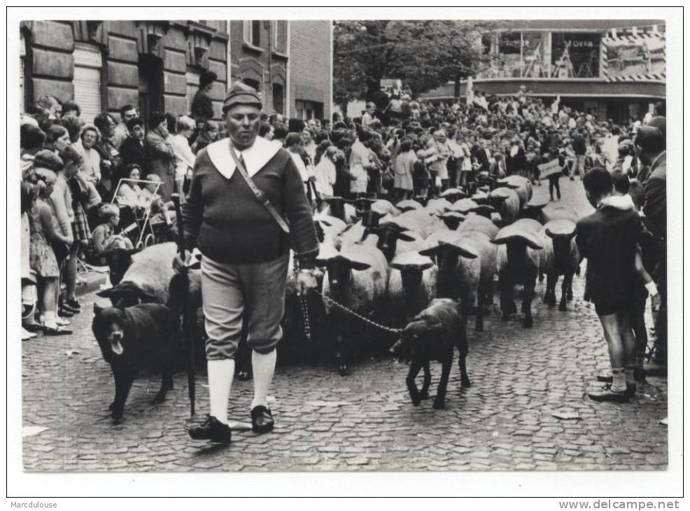 Wingene. Breughelfeesten "een Schapenkudde". Fêtes Breugheliennes "un Troupeau De Moutons". - Wingene