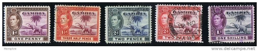 GAMBIA  George VI  Used Selection - Gambia (...-1964)