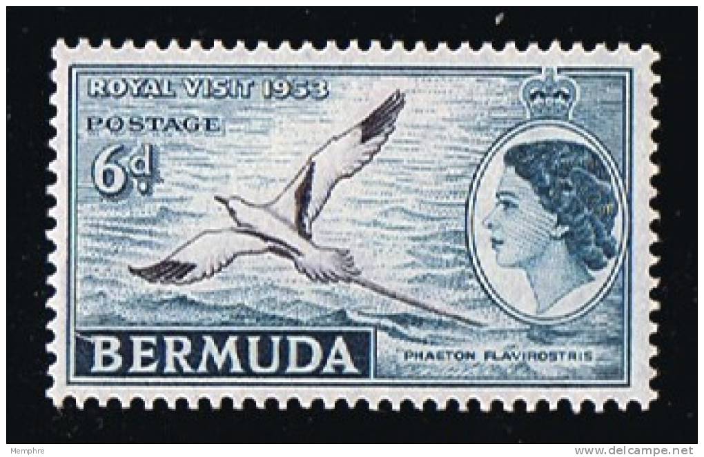 BERMUDA  1953  Queen Elizabeth Definitives  6 D.  Bird  SG 143  ** MNH - Bermuda