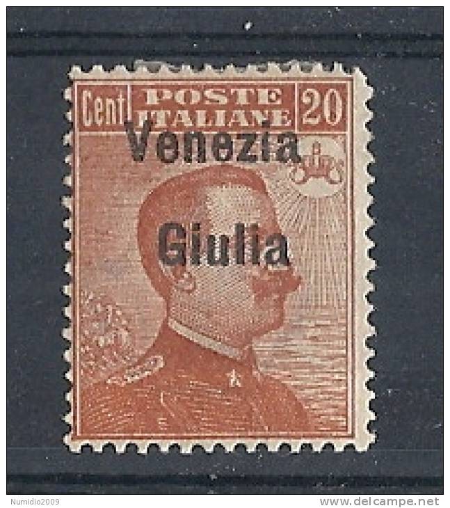 1918-19 VENEZIA GIULIA 20 C Varietà MH * - RR8775 - Vénétie Julienne