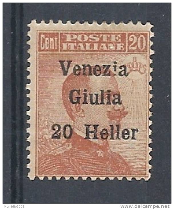 1919 VENEZIA GIULIA 20 H Varietà MH * - RR8775 - Vénétie Julienne