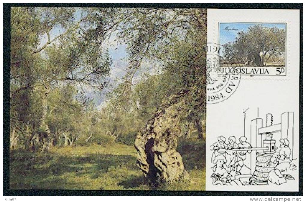 Yugoslavia - F. D. C. Card With Image Of Olive Tree And Stamp Of Olive Tree And Image Of Olive Processing. With Commemor - Alimentation