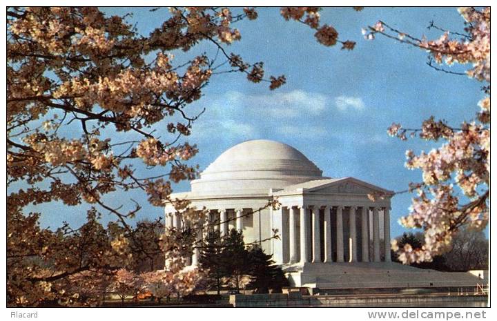 17211   Stati Uniti,   Washington  D.C.,    The  Jefferson  Memorial  At  Cherry  Blossom  Time,  NV - Washington DC
