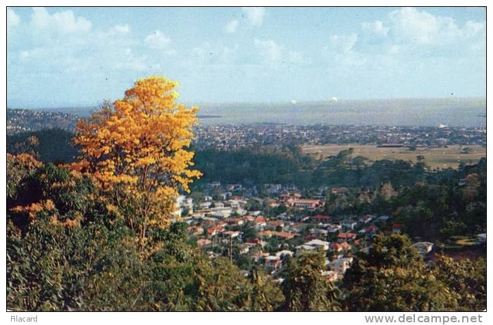 17224      Trinidad,  Vista  Panoramica,  NV - Trinidad