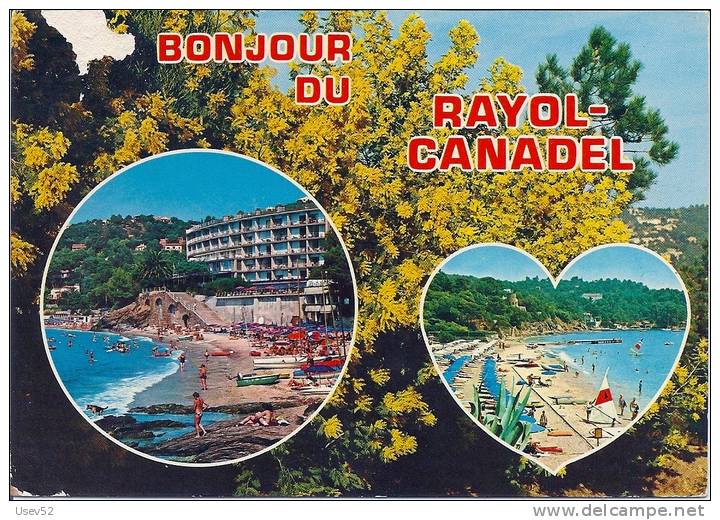 Bonjour Du Rayol-Canadel - Rayol-Canadel-sur-Mer