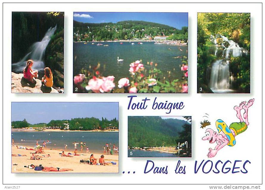 CPM - Tout Baigne ... Dans Les VOSGES (Ed. Yvon, 88) - Lorraine