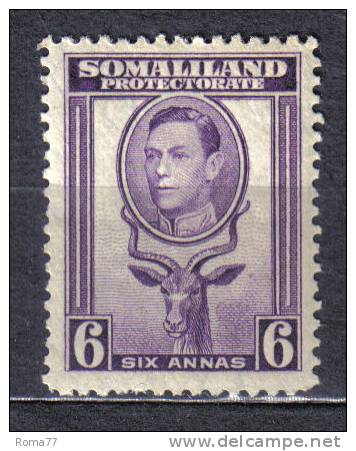 AP227 - SOMALILAND 1938 , Yvert N. 81  *** . Giorgio VI - Somaliland (Protectoraat ...-1959)